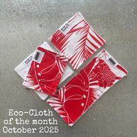 Eco-Cloth Subscription