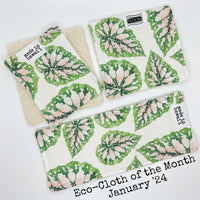 Eco-Cloth Subscription