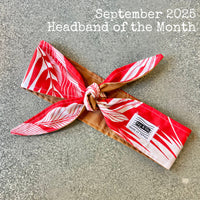 Headband Monthly Subscription