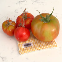 Eco-Cloth Subscription