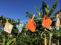 Clothes Pins - 'Ewalu