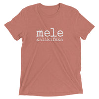 Pidgin Christmas Adult T-Shirt - Made To Order