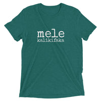 Pidgin Christmas Adult T-Shirt - Made To Order